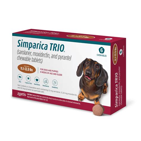 Expert Answers on Simparica Trio: Chewing, Swallowing, and。